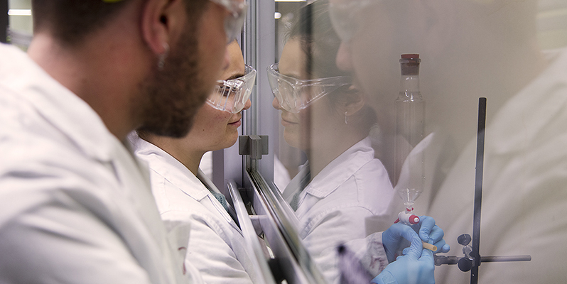 227 investigadores e investigadoras de la Universidad Complutense de Madrid, entre los científicos más influyentes del mundo, según el ranking de Stanford 2026
